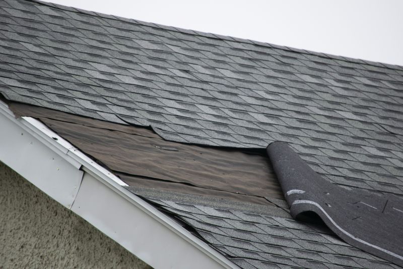Shingle Repair